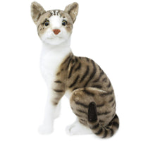 Realistic American Short Hair Plush stuffed animal Kitty Cat Stuffed animal kids toy